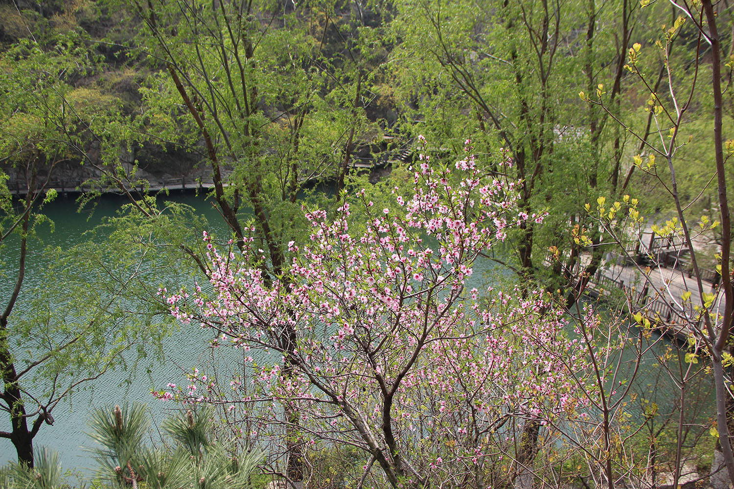 2021，濟(jì)南辰達(dá)試驗(yàn)機(jī)制造有限公司九如山一日游！